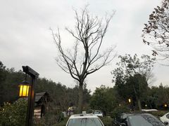 -天目湖涵田半山温泉