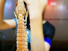 -凯华海鲜火锅·传承三十六年
