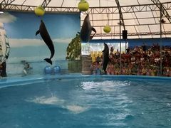 -尼莫海豚馆