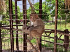 -武汉紫薇都市田园