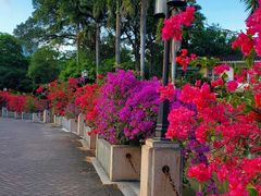 -广东外语外贸大学(白云山校区)
