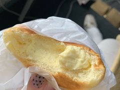 -蒲公英(五里店)
