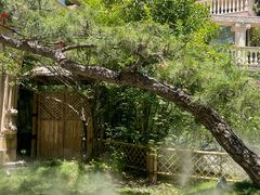 -叶叶菩提·晋福宫