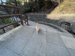 -崂山九水游览区