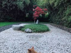 -西安凯悦酒店·湖畔中餐厅