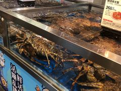-盒马X会员店(王府井奥莱UP TOWN店)