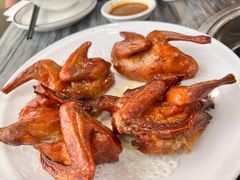 -鸽鸟轩(石岐店)