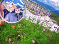 -鳌山滑雪度假区