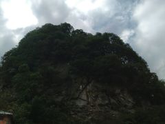 -陕西省红河谷森林公园