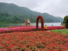-广州市石门国家森林公园