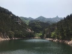 -老张烤羊(王哥庄店)