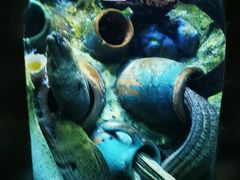 -太平洋海底世界