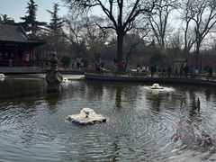 -隆兴寺
