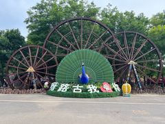 -呀路古热带植物园