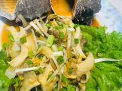 -东夷海鲜巨无霸(东夷小镇店)