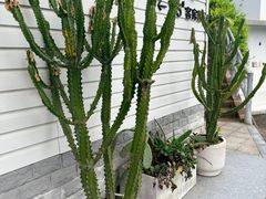 -华凌山庄·隐湖栖