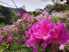 -广州市石门国家森林公园