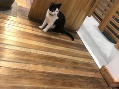 -猫的天空之城概念书店(杭州南宋御街店)