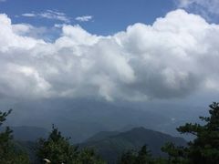 -王顺山国家森林公园