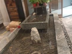 -尊立方海鲜酒店·生日宴·家宴