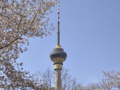 -中央广播电视塔