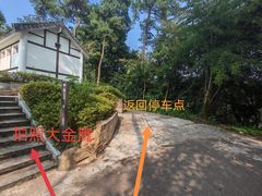 -南山植物园