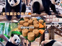 -广州长隆野生动物世界