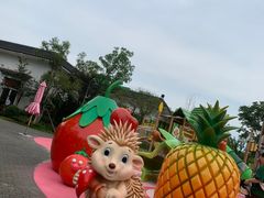 -苏州乐园森林水世界