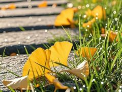 -康熙养生SPA·轻奢足道(江宁万达店)