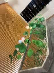 -圣梦亲体美肤生活馆