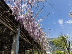-桂溪生态公园