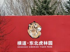 -横道河子东北虎林园
