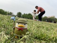 -青枫公园