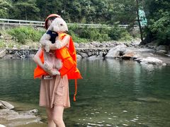 -安吉龙王山峡谷漂流