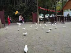 -石燕湖生态旅游景区