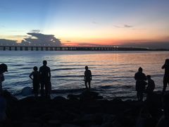 -宝安西湾红树林湿地公园