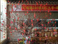 -顺德了能馆(虎门店)