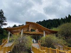 -黄龙山原始森林景区