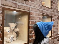 -济州岛泰迪熊博物馆