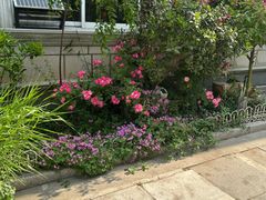 -龚家花园农家乐休闲别墅