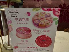 -哈根达斯(石家庄北国店)