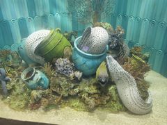 -南京海底世界