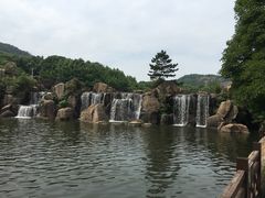 -白马涧龙池景区