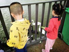 -新疆天山野生动物园