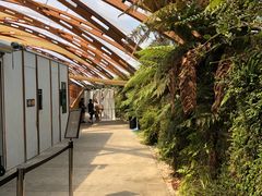 -怀托摩萤火虫洞