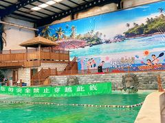 -南宫温泉水世界