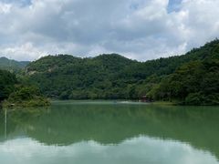 -广州白江湖森林公园