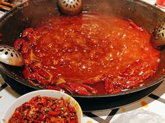 -朱光玉火锅馆(正弘城店)