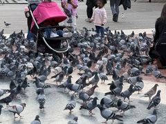 -加泰罗尼亚广场