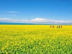 -青海湖国家重点风景名胜区
